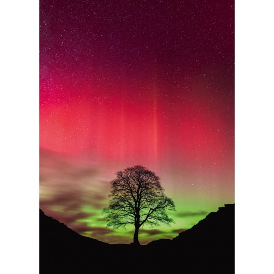 Puzzel Sycamore Gap 1000 Heye 30065 New