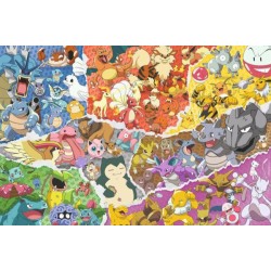Legpuzzel Pokemon 5000St. Legpuzzel Pokemon 5000St.