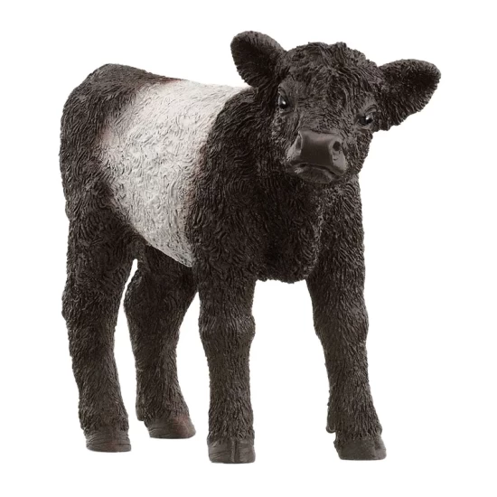 Schleich Farm World Galloway Kalf