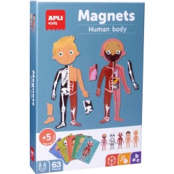 Apli - Menselijk Lichaam Magneetkaart 63-Delig Apli - Menselijk Lichaam Magneetkaart 63-Delig