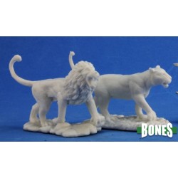 Lions (2) Lions (2)