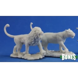 Lions (2) Lions (2)