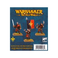 Kingdom Of Bretonnia: Squires Command ---- Webstore Exclusive