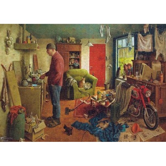 Mannenhuishouding - Marius Van Dokkum (1000)