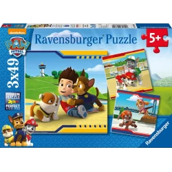 Paw Patrol Helden Met Vacht (3×49)