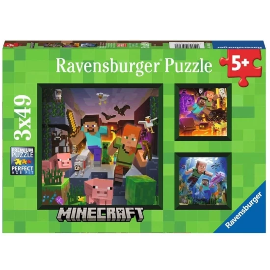 Minecraft Biomes (3×49)