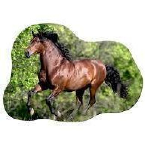 Mini Puzzel Andalusier Paardenvriend