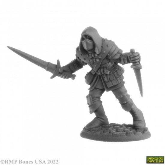 Naus Waghalter (Human Rogue)