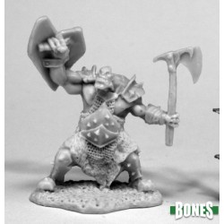 Orc Fighter Slayer Orc Fighter Slayer
