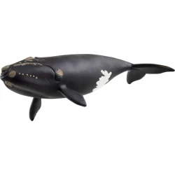 Schleich Wild Life North Atlantic Right Whale Schleich Wild Life North Atlantic Right Whale