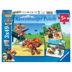 Paw Patrol Team Op 4 Poten (3×49)