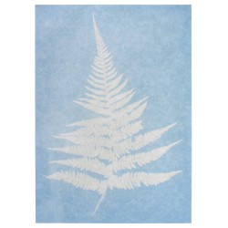 Stem - Papier Imprimé Par Le Soleil Stem - Papier Imprimé Par Le Soleil