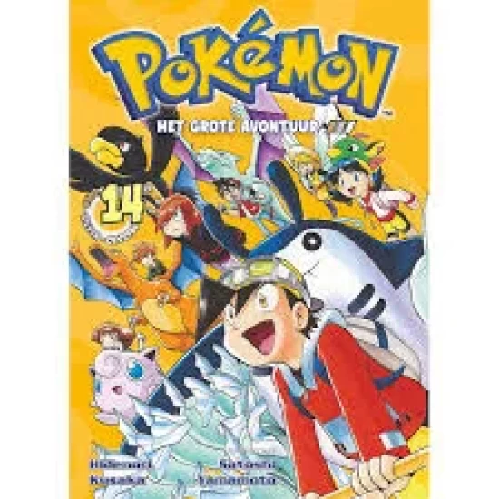 Pokémon Manga 14