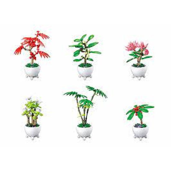 Potted Plants