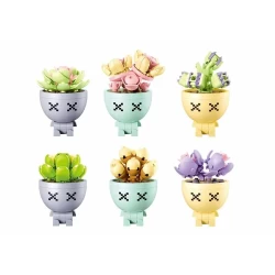 Potted Plants