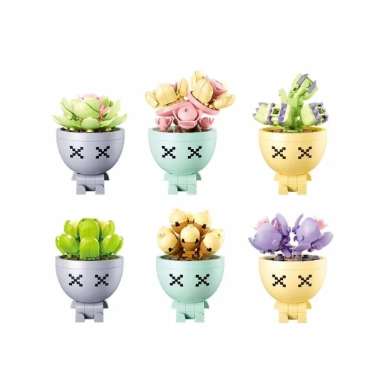 Potted Plants