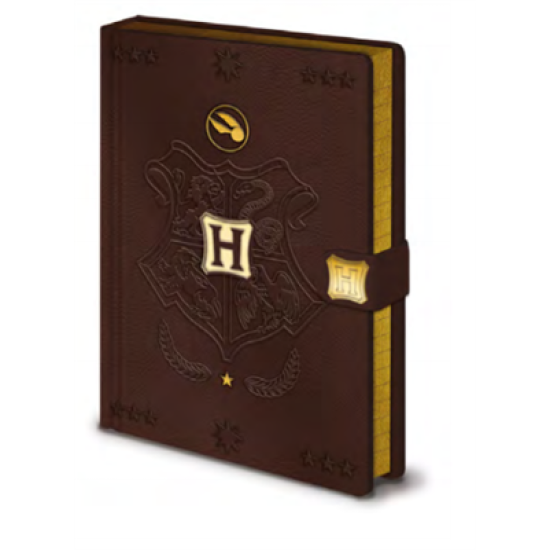 Pyramid Premium A5 Notebooks - Harry Potter (Quidditch)