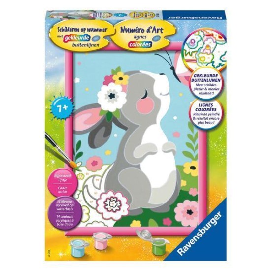 Schilderen Op Nummer - Konijntje Met Vlinder Schilderen Op Nummer - Konijntje Met Vlinder