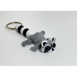 Racoon Racoon