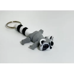 Racoon