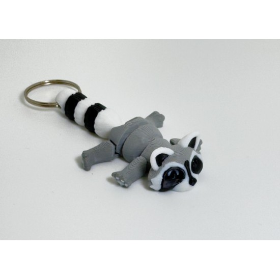 Racoon