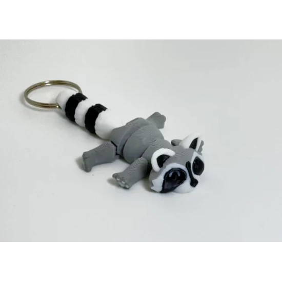 Racoon