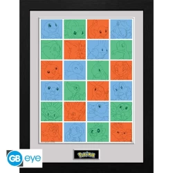 Pokemon - Framed Print First Partner Grid (30X40) X2