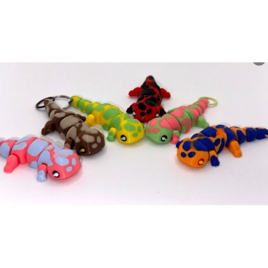 Salamander Gemixt Sleutelhanger