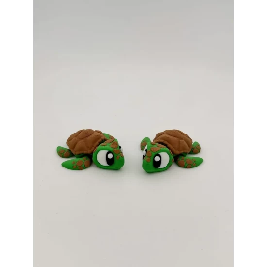 Sea Turtle