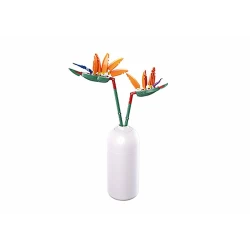Pleyerid-Strelitzia Reginae Aiton 148Pcs Pleyerid-Strelitzia Reginae Aiton 148Pcs