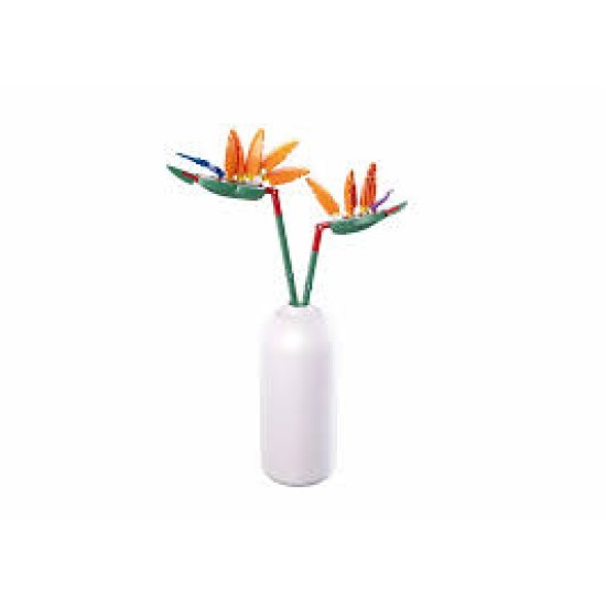 Pleyerid-Strelitzia Reginae Aiton 148Pcs