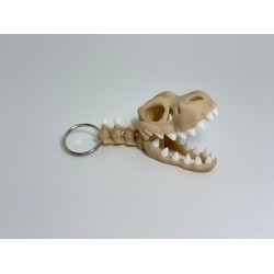 T-Rex Skull Sleutelhanger