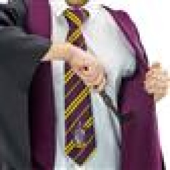Harry Potter: Gryffindor Wizard Robe