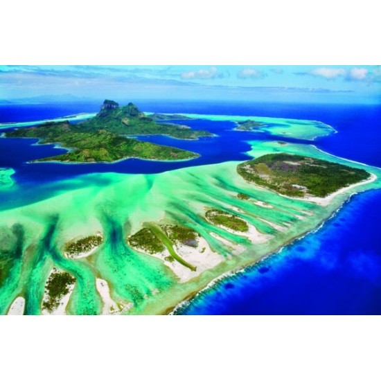 Save The Planet! Coral Reef (1000)