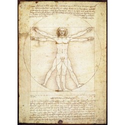 The Vitruvian Man (1000)