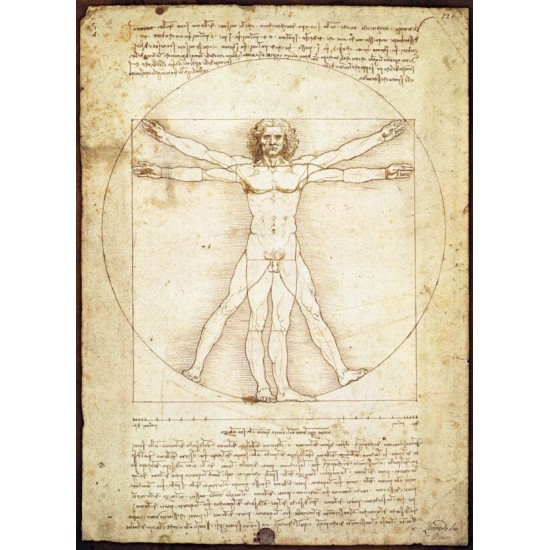 The Vitruvian Man (1000)