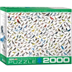 The World Of Birds (2000)