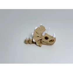 Triceratops Skull Sleutelhanger