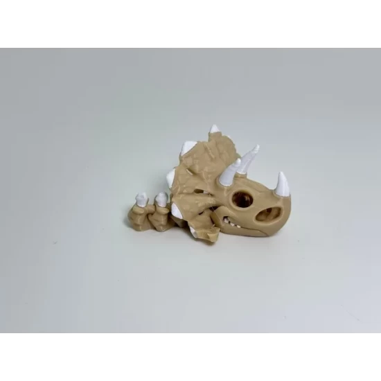 Triceratops Skull Sleutelhanger
