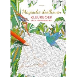 Magische Doolhoven - Kleurboek Voor Volwassenen Magische Doolhoven - Kleurboek Voor Volwassenen