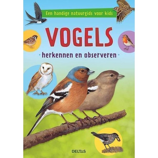 Vogels Herkennen En Observeren