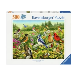 Vogels In De Wei (500) Vogels In De Wei (500)