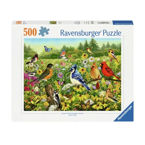 Vogels In De Wei (500) Vogels In De Wei (500)