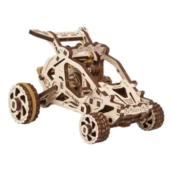Woestijnbuggy Woestijnbuggy