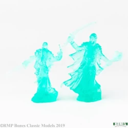 Wraith Lord And Bodyguard (2) Wraith Lord And Bodyguard (2)