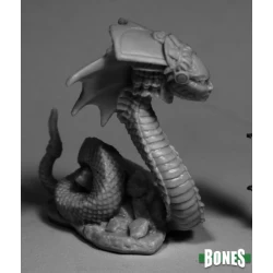 Xiloxoch Naga