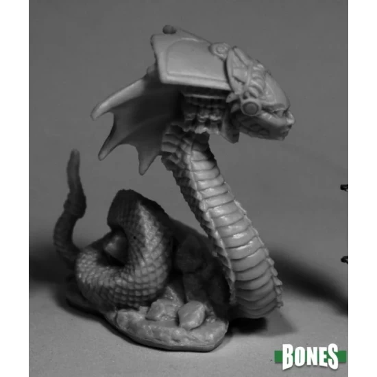 Xiloxoch Naga