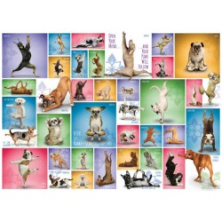 Yoga Dogs (1000) Yoga Dogs (1000)