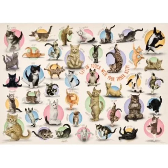 Yoga Kittens (500 Xl)