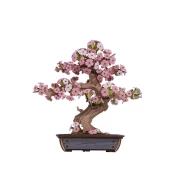 Robotime Diy 3D Houten Modelbouwpakket Sakura Bonsai Tg415 161111X17Cm